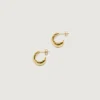 TEN Plum Gold Oorbellen