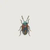 TROVELORE Snowdon Beetle Broche
