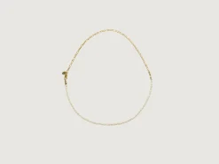 WOLF CIRCUS Mara Ketting